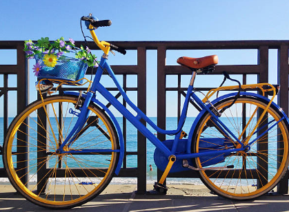 Decoding Brakes: Is it Left Rear Right Front or Left Front Right Rear