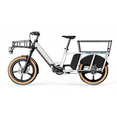 Cargo ebike