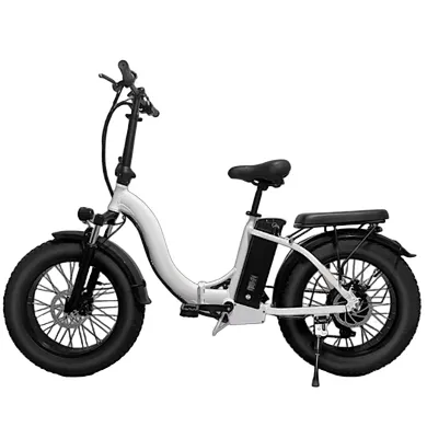 Electric bike