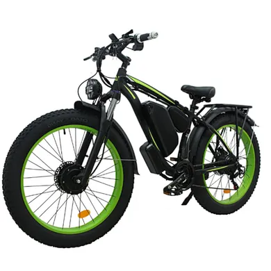 Snow Electric Bike